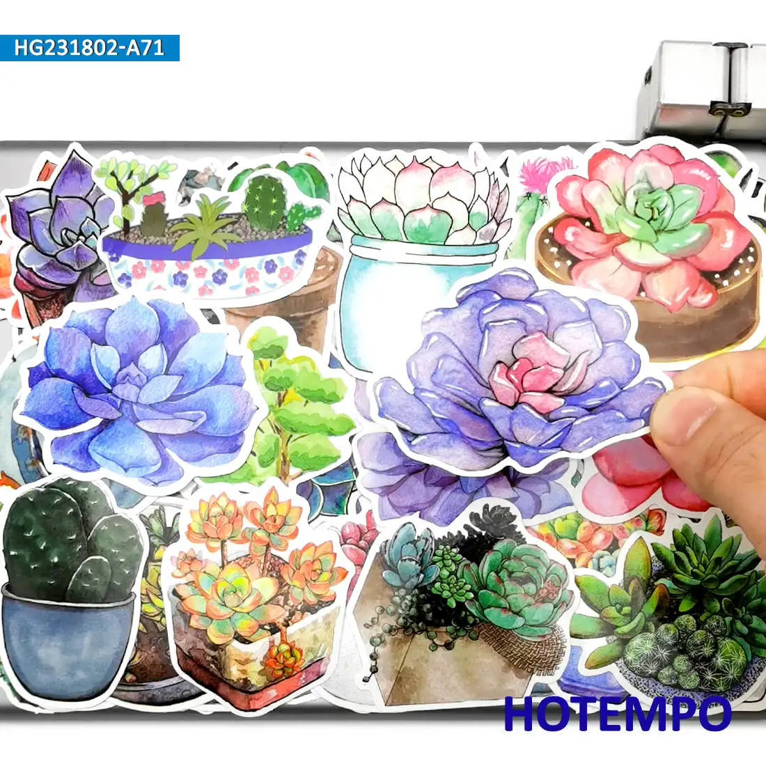 20/30/50/70Pieces Succulent Potted Colorful Graffiti Cute Plant Stickers for Kid Scrapbook Luggage Bike Car Phone Laptop Sticker