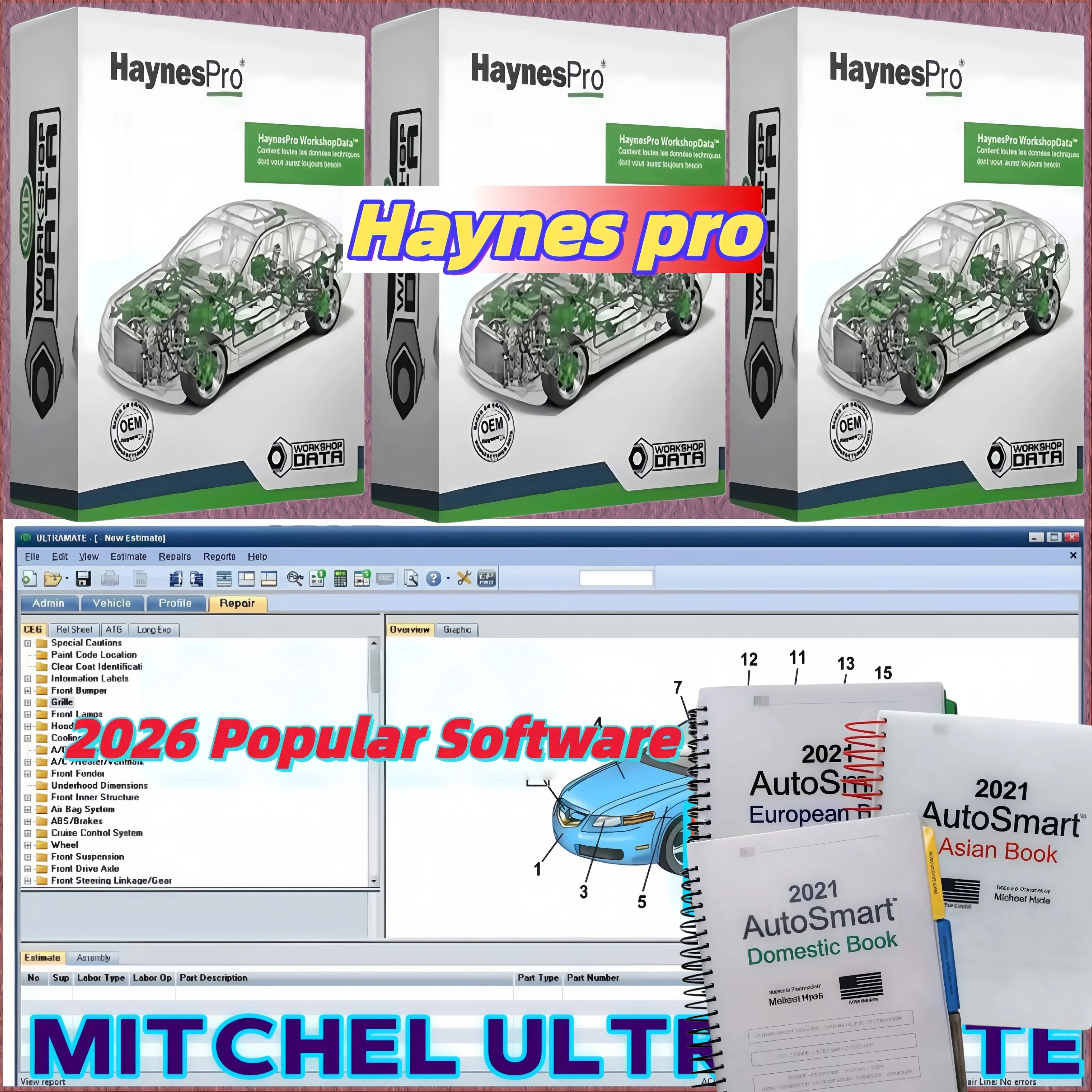 2026 Bestseller: Mitchell UltraMate 7, Ultra Patch, Haynes PRO Manual, AutoSmart 3 eBooks + Michael Hydes Schlüsselprogramm