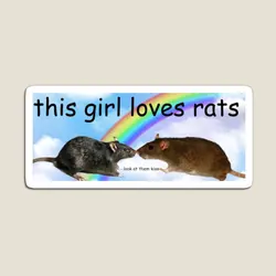 This Girl Loves Rats Bumper Sticker  Magnet Cute Funny Stickers Toy Colorful Magnetic Children Baby Refrigerator