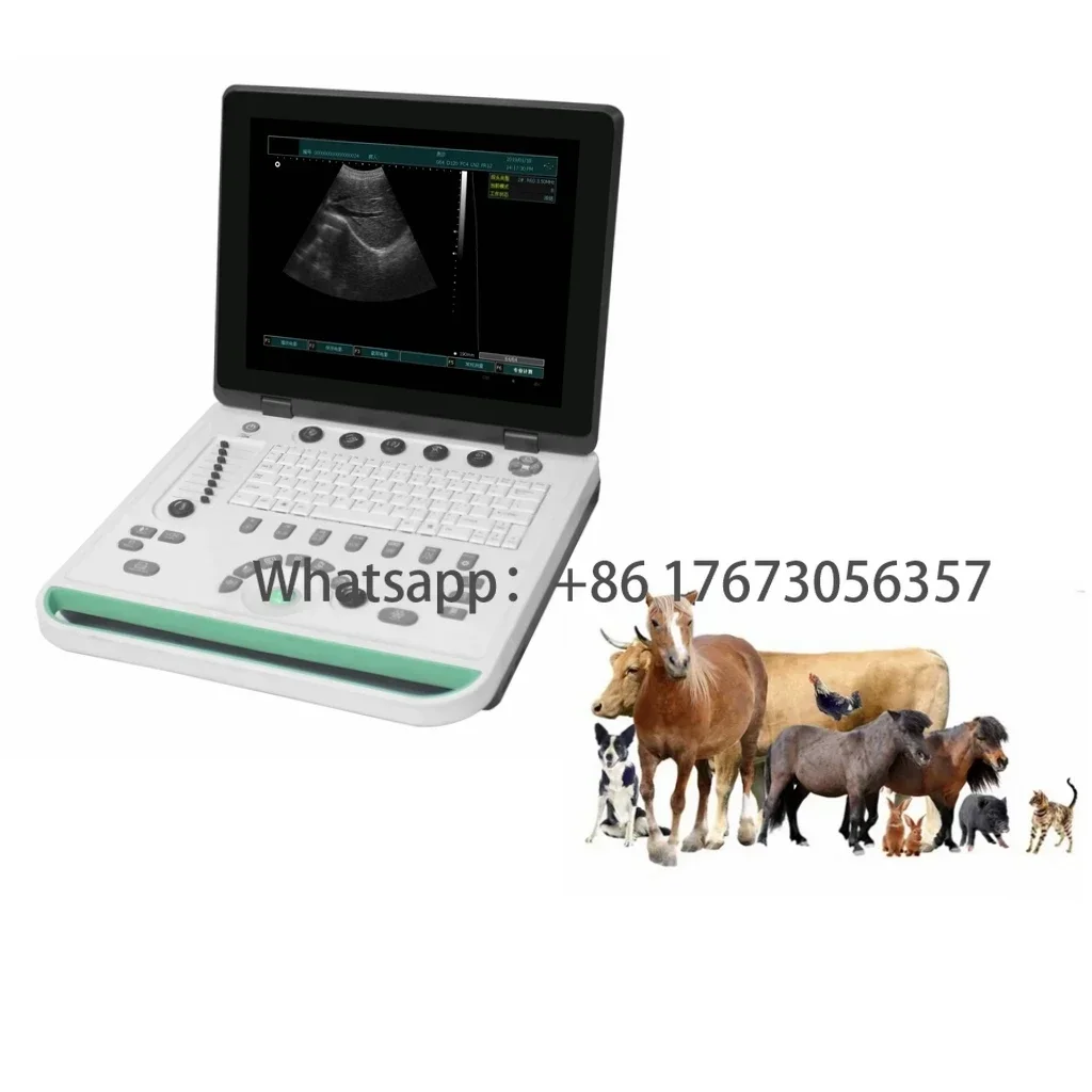 

B22Vet Veterinary Ultrasound Pseudo Color Veterinary Equip Portable Veterinary Ultrasound Tablet