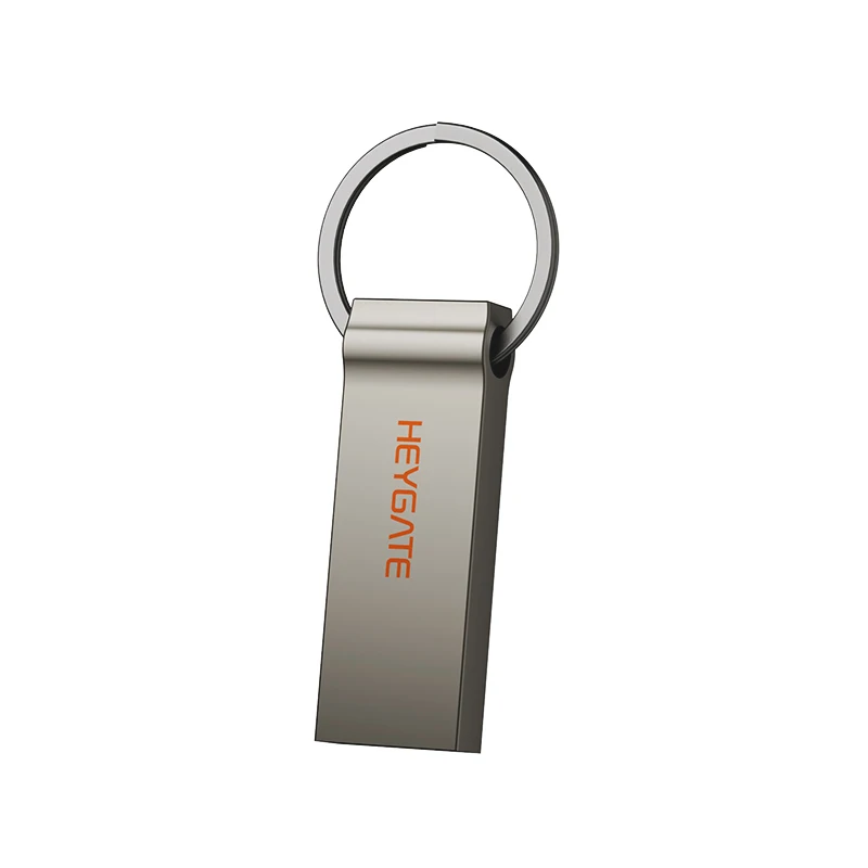 HEYGATE USB 2.0 Mini Metal Pendrive 8GB 16GB 32GB 64GB 128GB Sleutelhanger Flash Drive voor PC Laptop Auto TV Draagbare USB Stick Kantoor