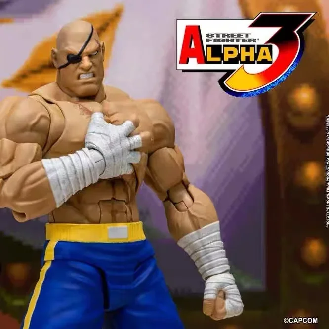 متوفر في المخزون ST Storm Toys ARENA Street Fighter 3 1:12 Figurki Shagat، Figurki Akcja، مجموعة هدايا Ozdoby Modelarskie..