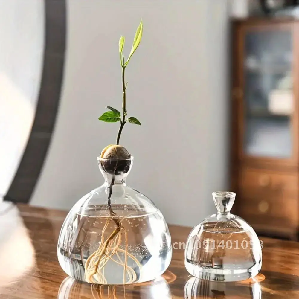 1Pcs Sprouting Seed Starter, Planter Vase Glass Container, Planter Acorn Tree Grow Kit Decorative, Glass Bulb Spreader Vase.