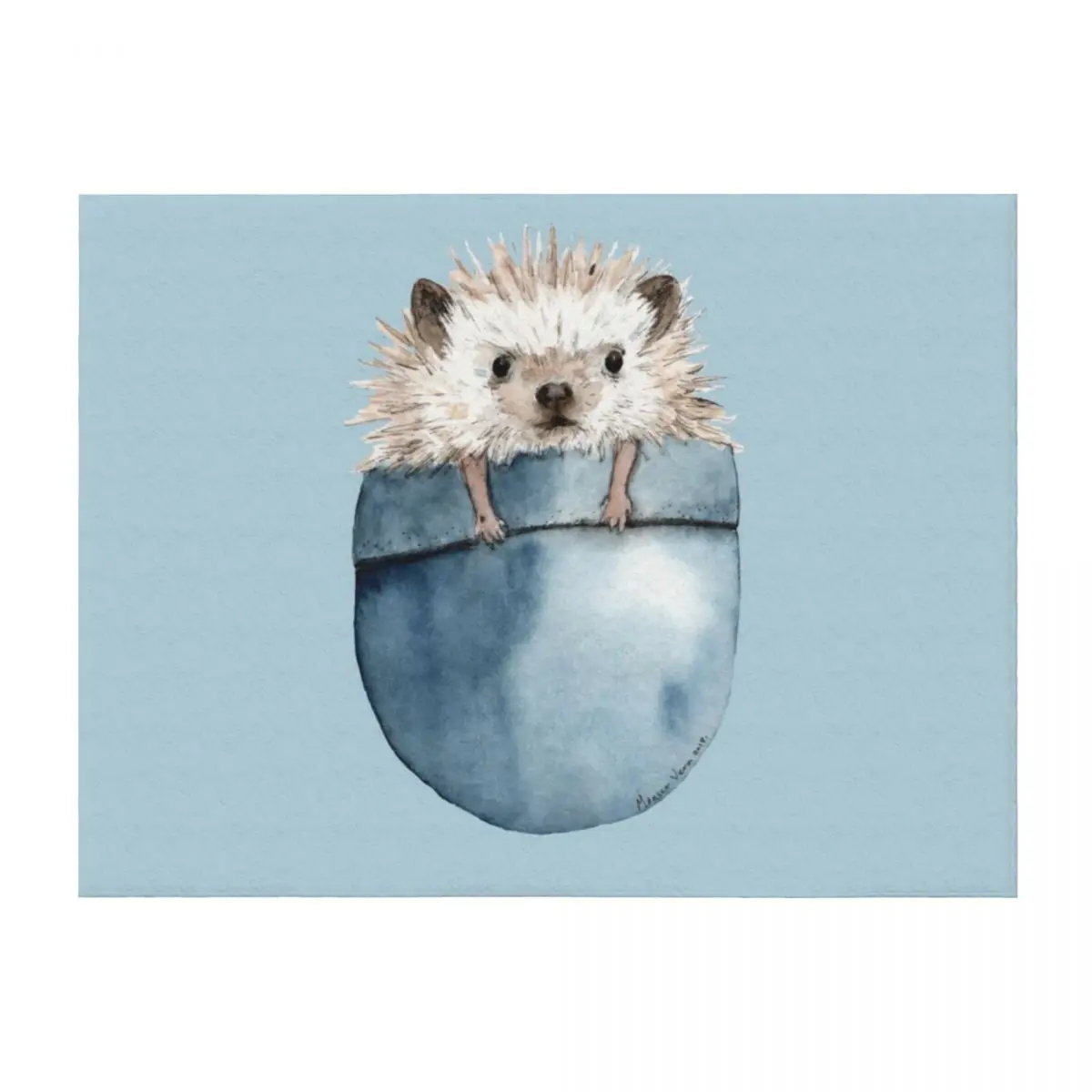 

hedgehog Throw Blanket Soft Plush Plaid Soft Beds Softest Sofa Blankets