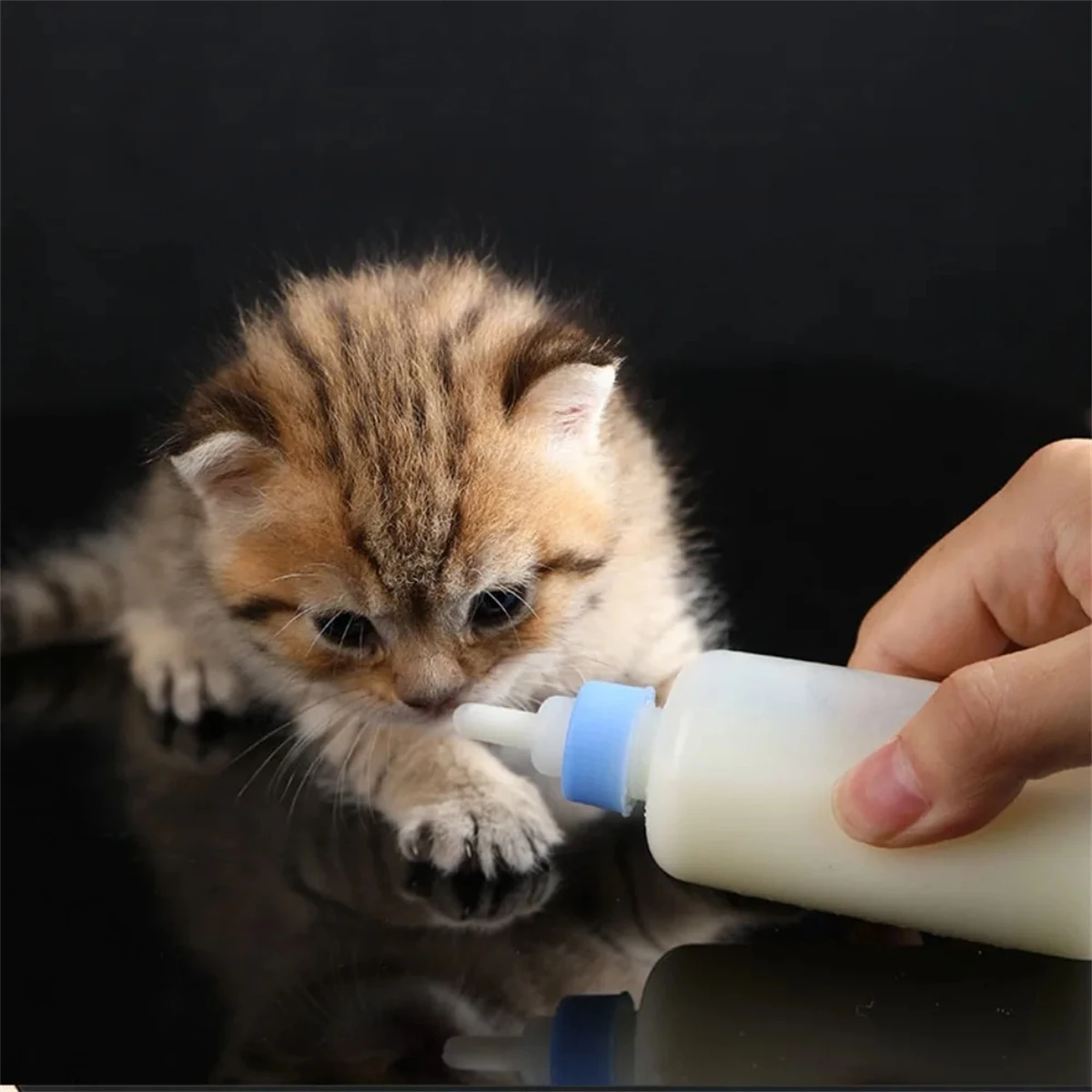 1 مجموعة 50cc الحيوانات الأليفة القط زجاجة حليب الكلب القط سيليكون زجاجة الحليب المحمولة هريرة تغذية مياه الشرب الحليب زجاجة رضاعة أحمر/أزرق #5