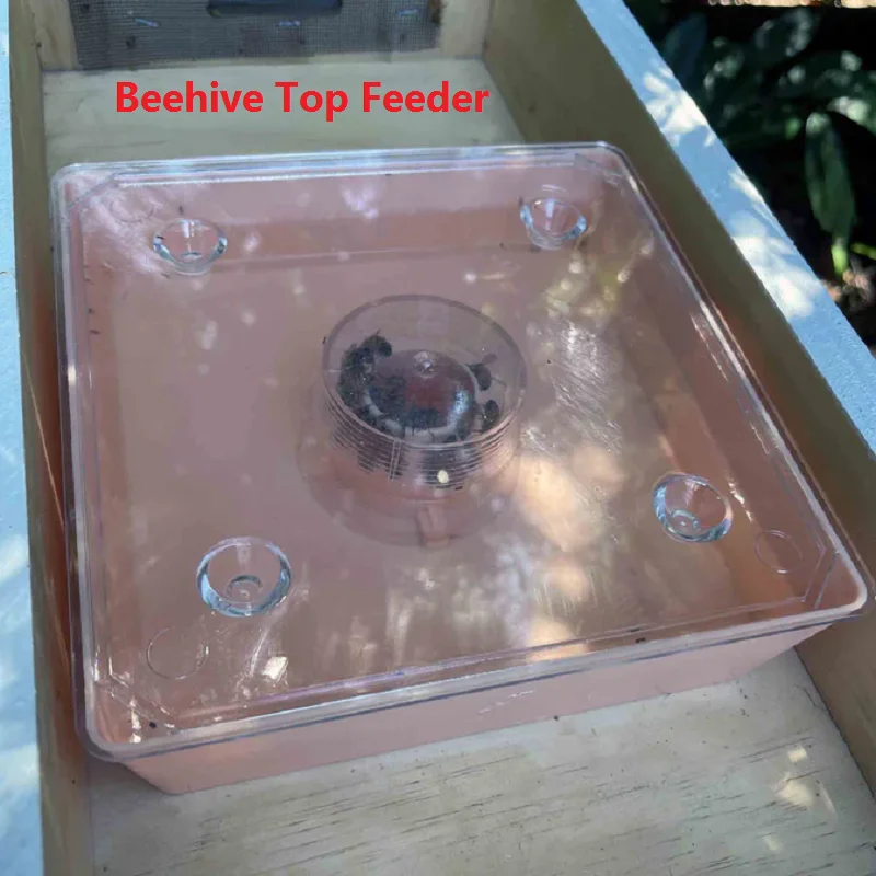 Beekeeping Water Feeder Beehive Top Feeder Bee Hive Entrance Feeders Plastic Top Square Rapid Bee Feeder Beekeeping  Tools