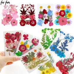Flores prensadas para decoración de uñas, paquete de Material para moldes de resina, rellenos de plantas secas, artesanía de resina epoxi, bricolaje