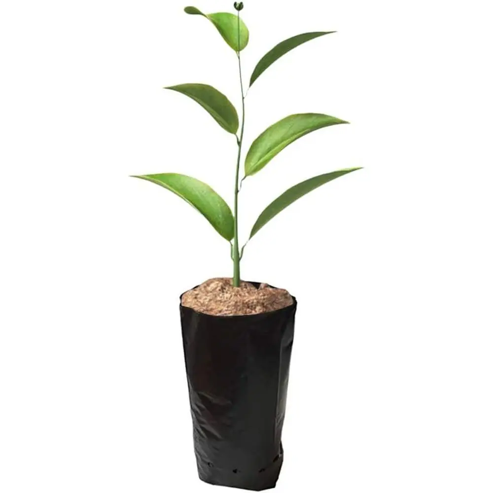 100 PCS Thicken Plastic Nursery Bags Lower Grow Bags Seedling Pots 6.69x11.81 in