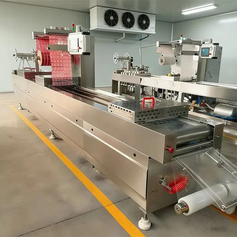 Customized Vacuum Packaging Machine Full Automatic Vacuum Thermoforming Forming Packaging Packing Machine For Meat Fish