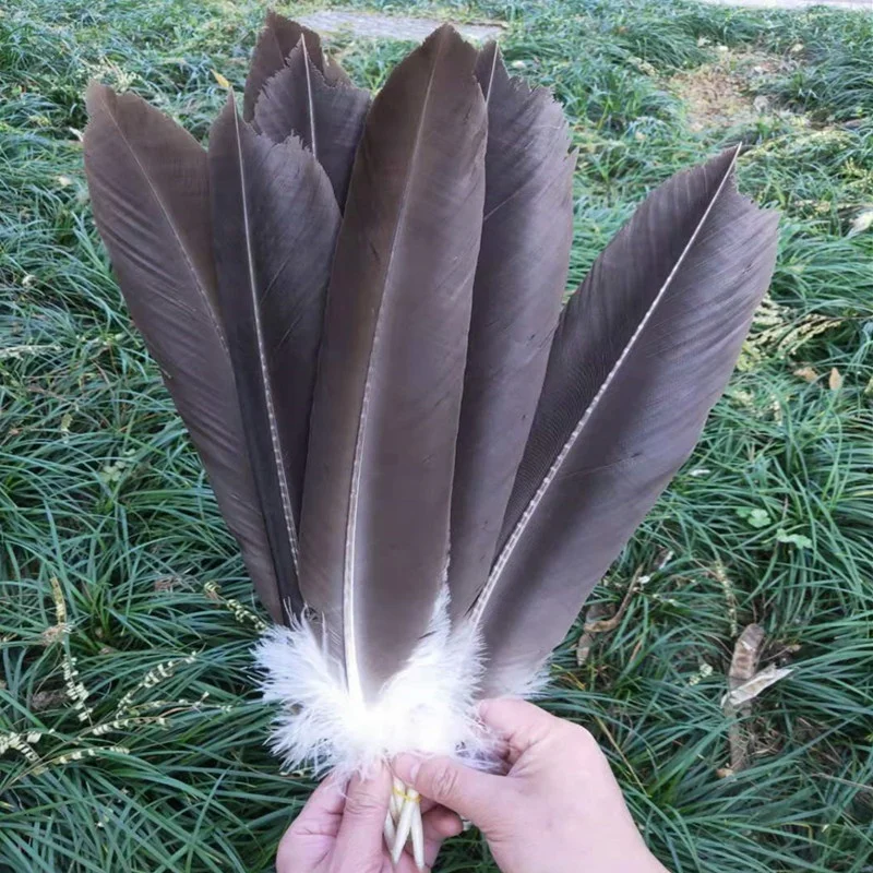 10PCS, eagle feathers, tail feathers 40-50 cm of natural golden eagle feathers