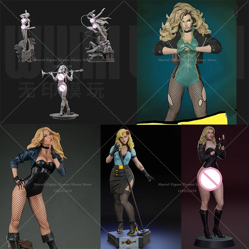 Modelo de Resina 3D GK Autoensamblable a Escala 1/24 1/18, Sin Pintar, Muñeco Blanco, Sonic Ability Dinah, Maestro de Combate Élite Mundial ‌