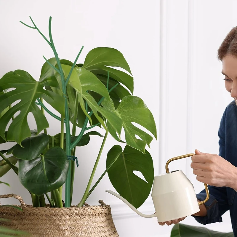 دعم نبات Monstera، أوتاد دعم حديقة النباتات، أعواد نباتية بلاستيكية طويلة لشجرة الطماطم، فروع تدعم 5 قطع