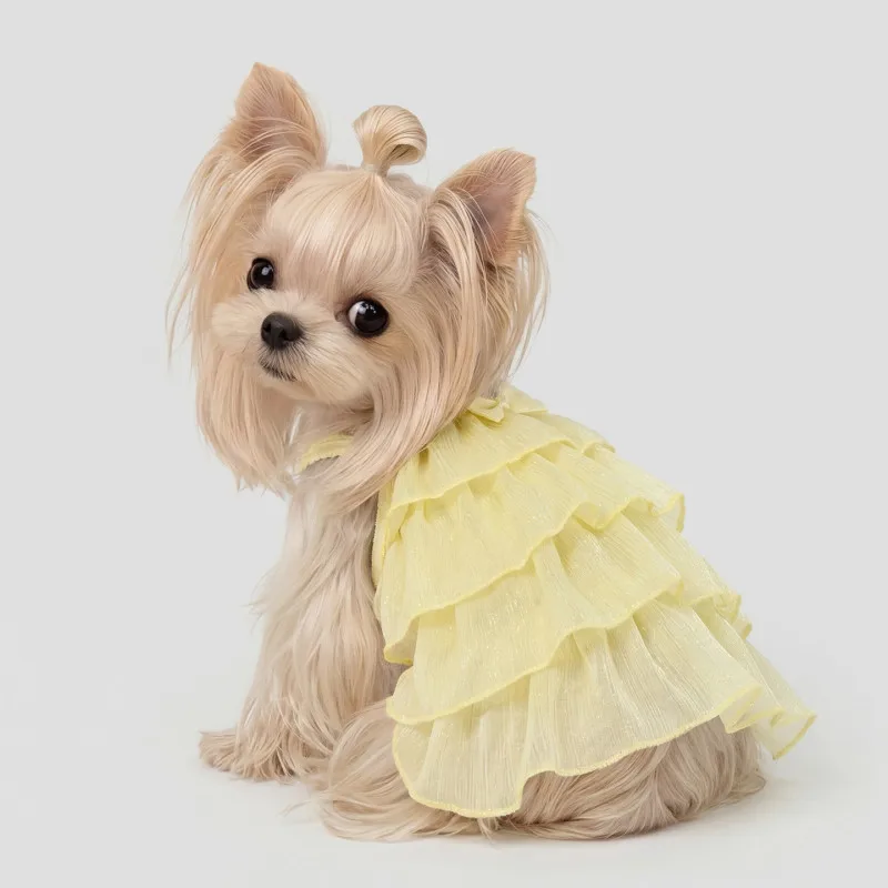 Falda Tutú para Perros Pequeños, Ropa de Verano para Gatos, Chihuahua, Yorkie, Shih Tzu, Pomeranian, Bichón, Poodle, Vestido de Verano para Perros