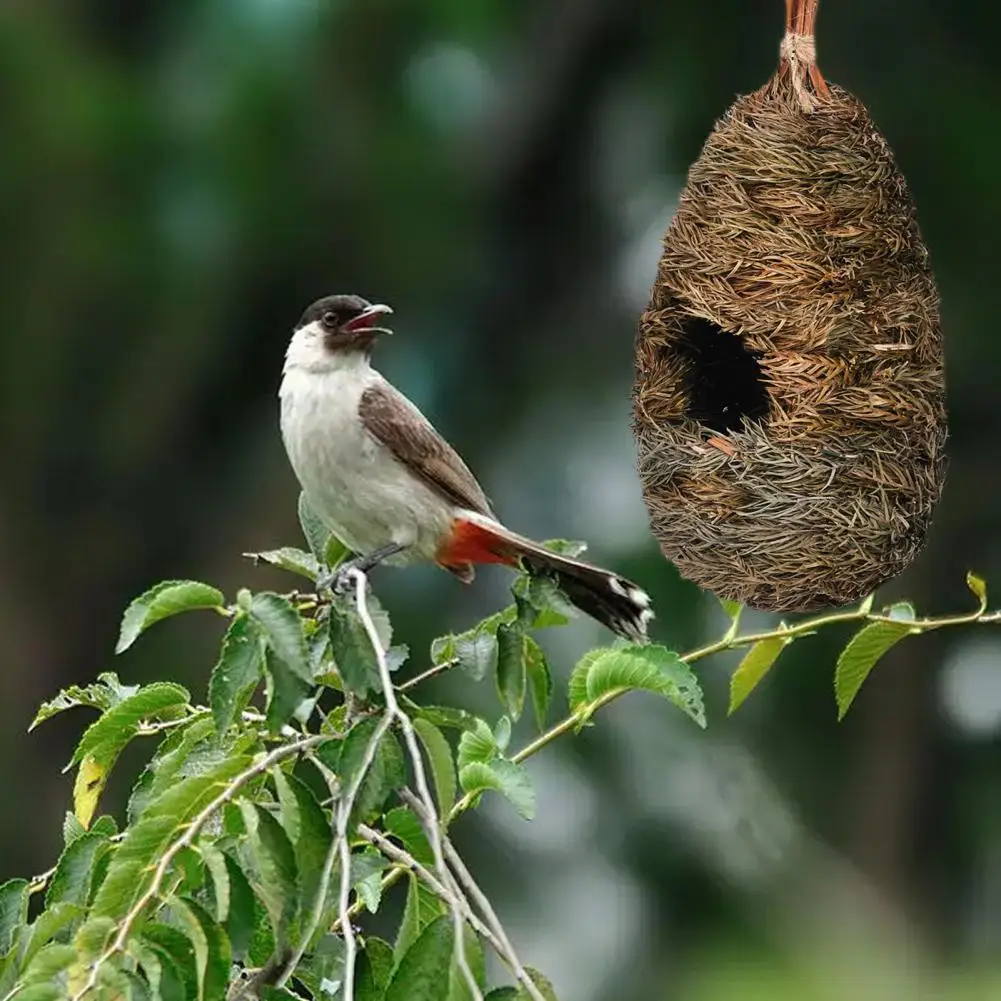 Moisture-Proof Outdoor Bird Nest, Grass Bird House, Hanging Parrot Nest, Houses, Bird Supplies