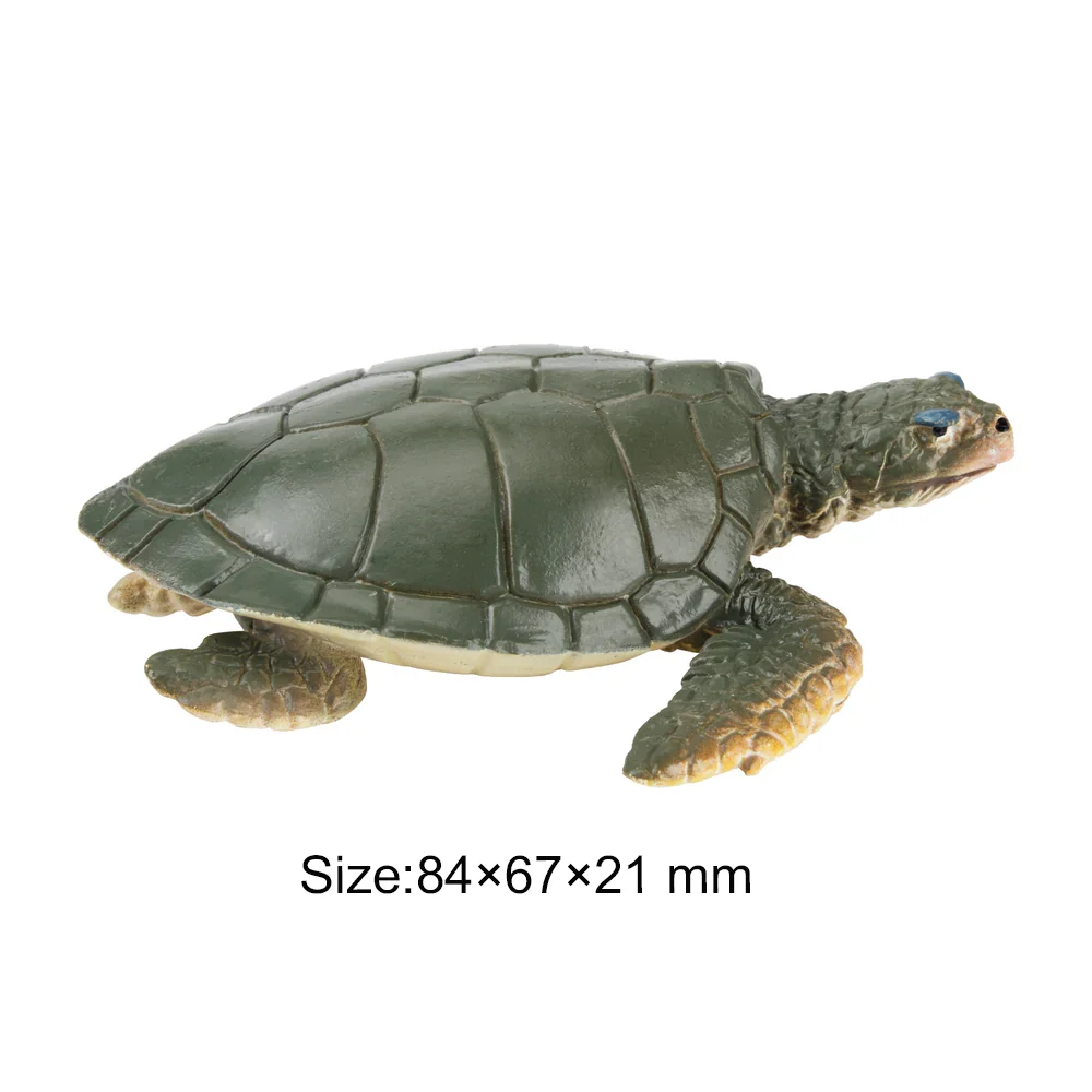 Toymany Simulatie Kemp's Ridley Zee Oceaan Diermodel Speelgoed Mini Figuren Poppen Actie Beeldjes Speelgoed Kinderen Gift Cake Decora