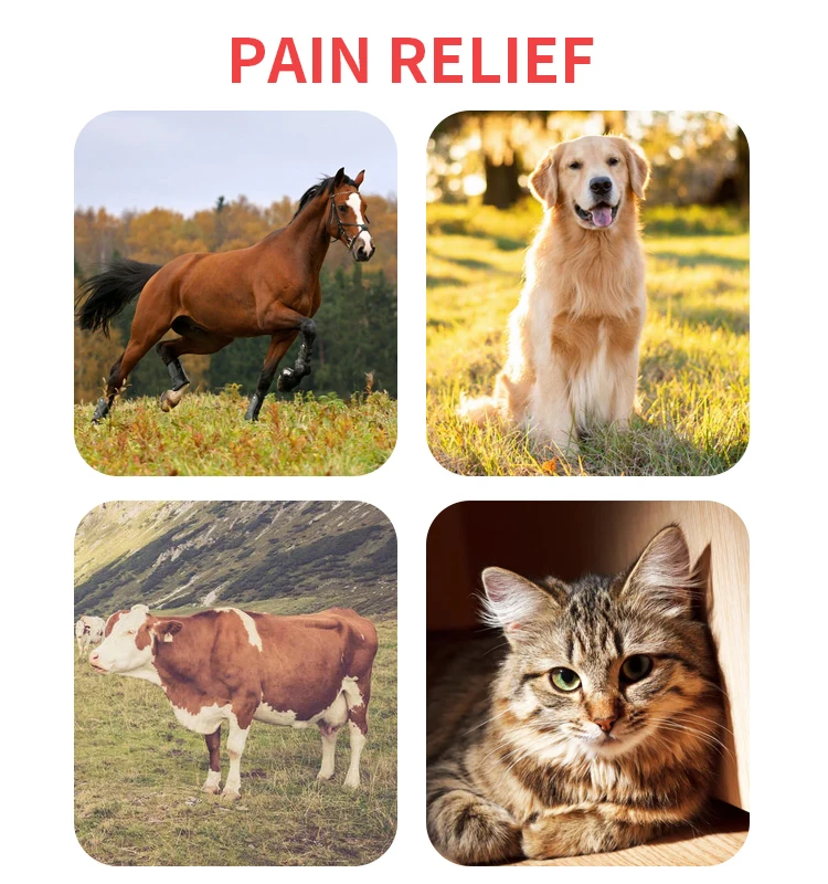 Red light therapy device Red light therapy for horse Infrared therapy for pain relief