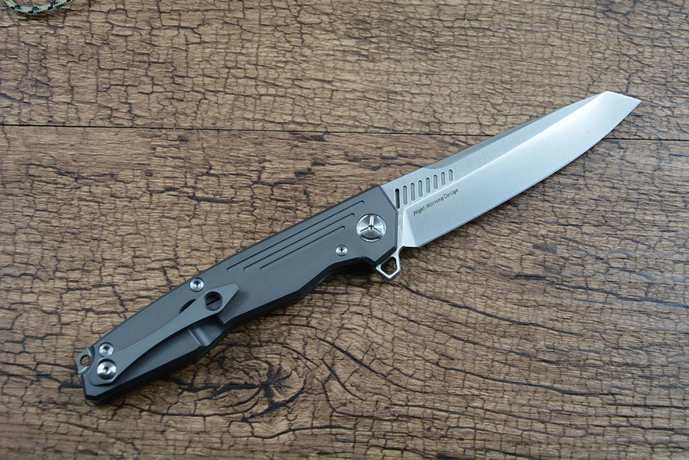 TWOSUN TS16 M390 Blade Pocket Folding Knife Outdoor Camping Hunting Black Titanium Handle Pocket Knife Flipper Fast Open