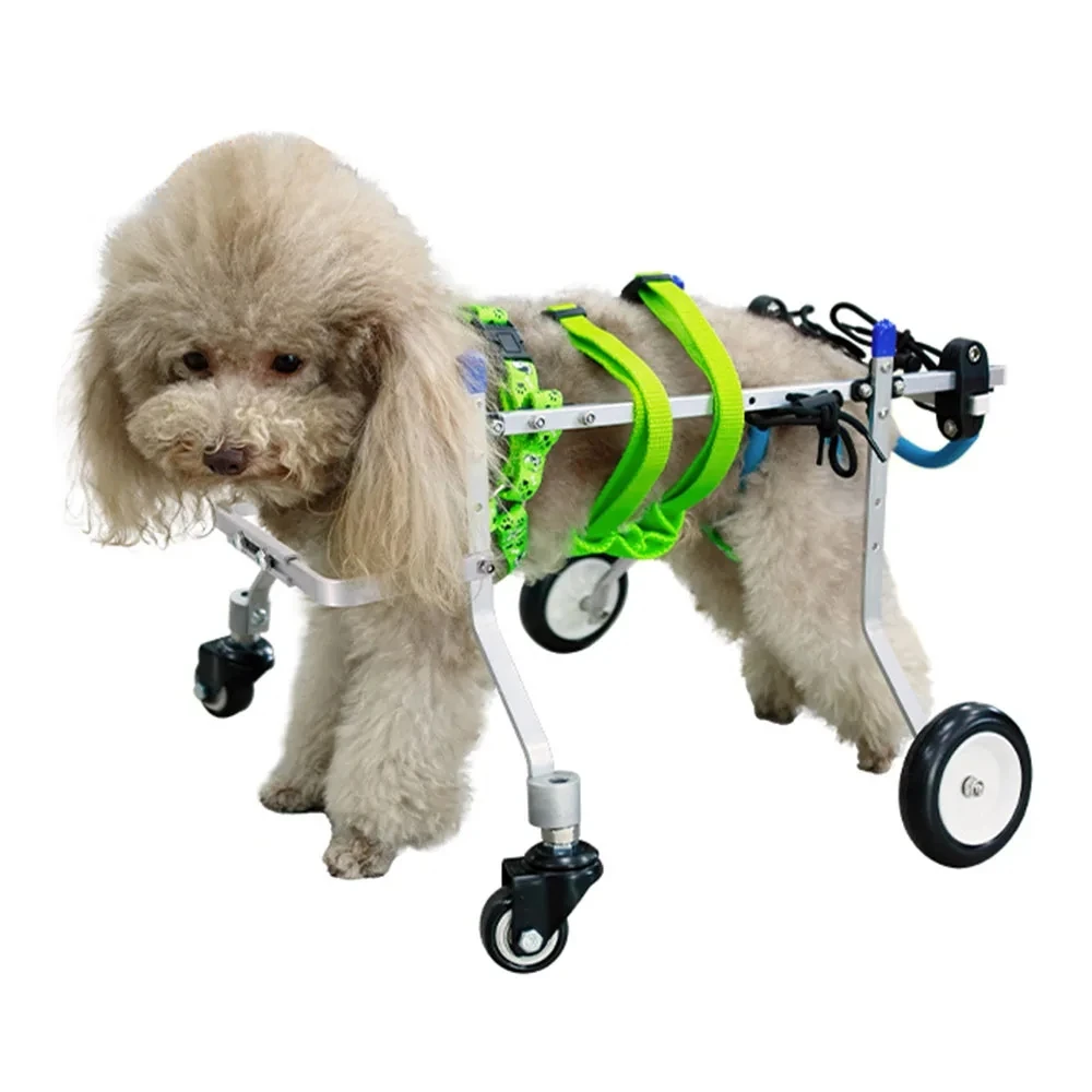 

Small Four-Wheeled Pet Wheelchair Dog Wheelchair Dogs Cats Paralyzed Disability Assisted Hind Leg Braces Dog Mobility Scooter