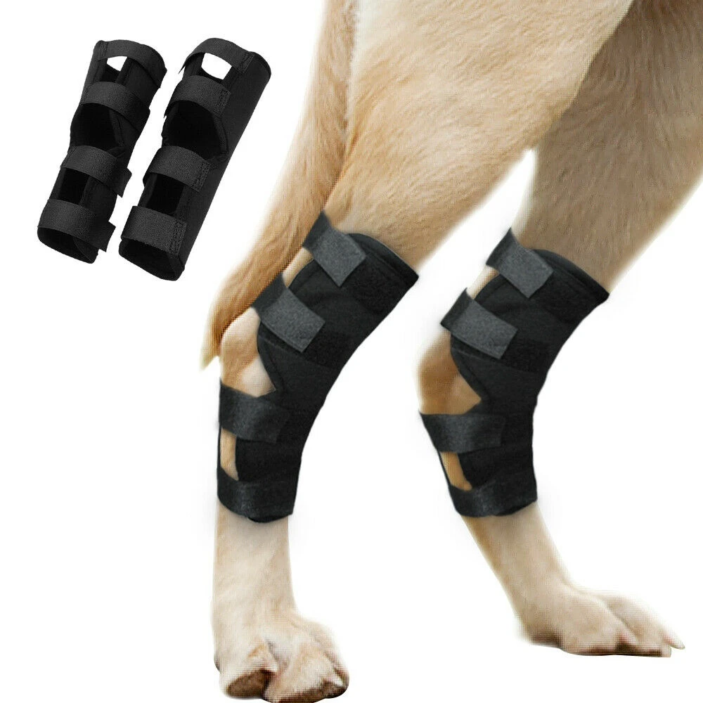 Injury Wrap Protector Dog Support Brace Dog Legs Protector Dog Supplies Dog Wrist Guard Pet Knee Pads Puppy  Kneepad