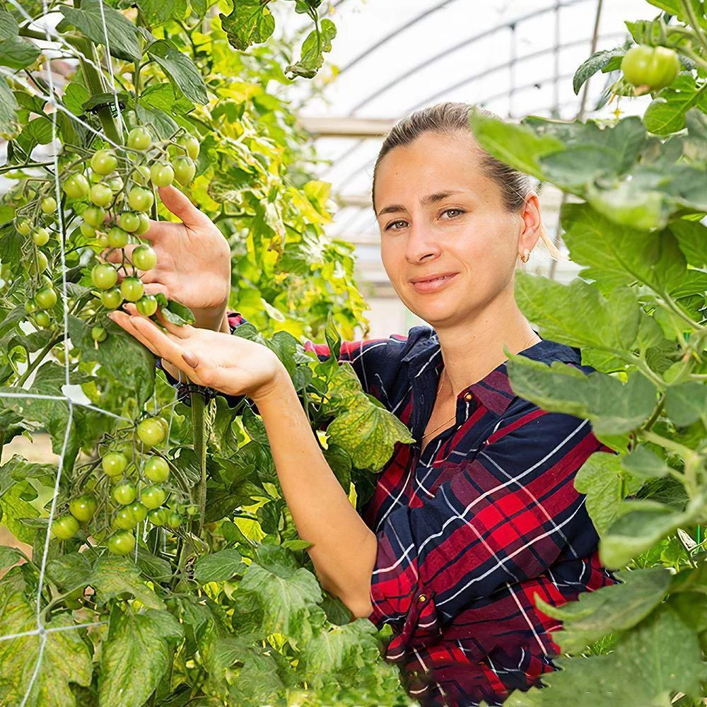 Kletternetz für Gartenbaupflanzen, gewebtes Netz aus Polyester, geeignet für andere Kletterpflanzen wie Tomaten, Bohnen, Trauben usw – Detail 7
