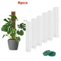 6Pcs-Moss Pole