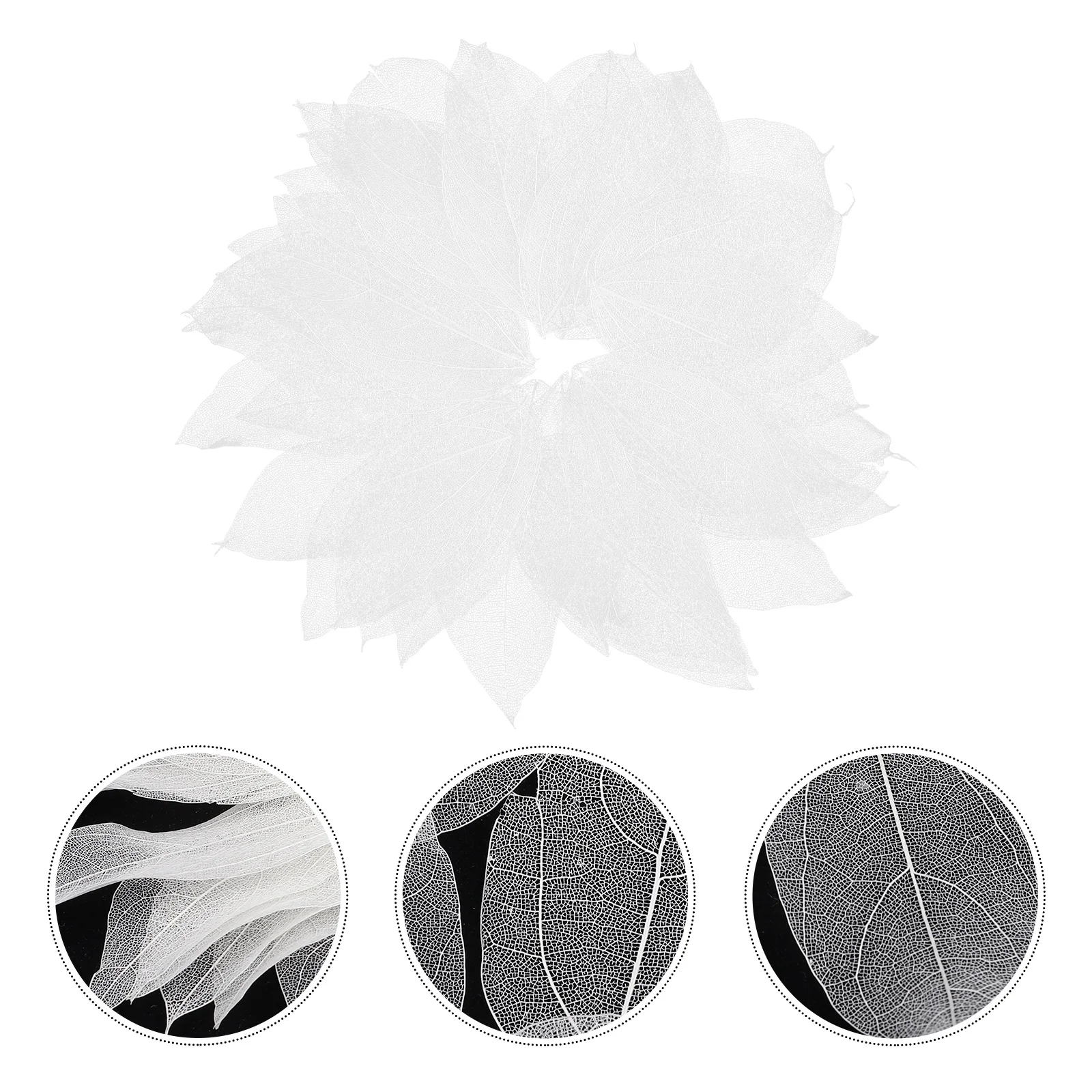 36 peças folhas prensadas secas para amuletos diy, arte em resina e enfeites artesanais, folhas, amuletos de folhas