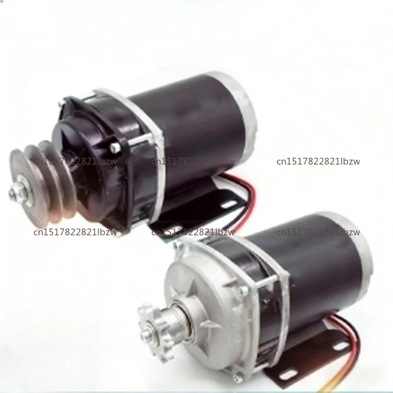 12V 24V 48V 800W Electric DC Feeding Vehicle Suction Motor Modified Screw Treadmill Motor Permanent Magnet Brushed DC Gear Motor