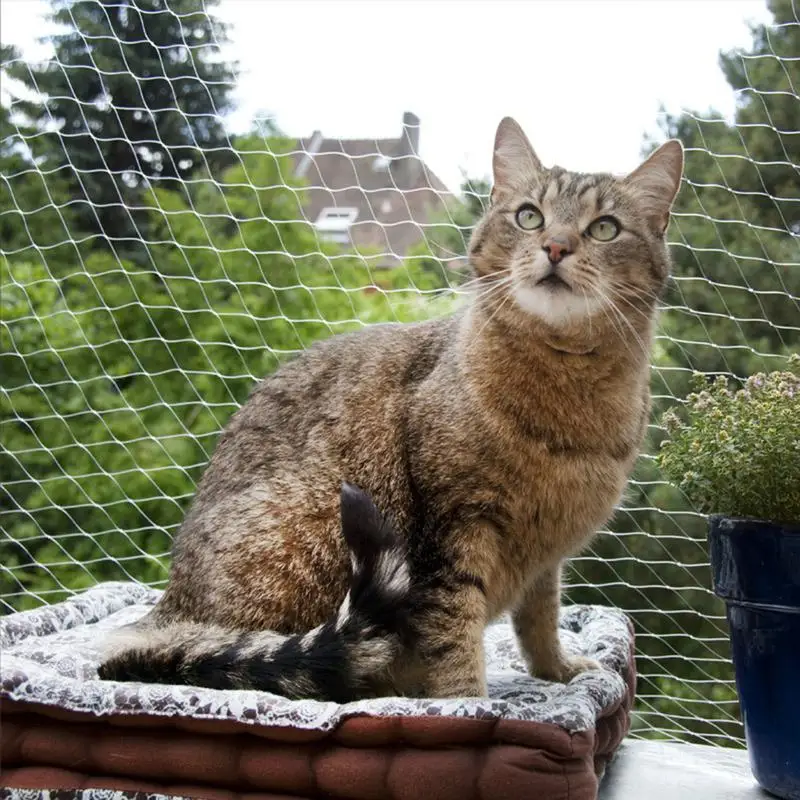 Thumbnail 4 - #39 Best Cat Safety Window Nets to Buy In 2026