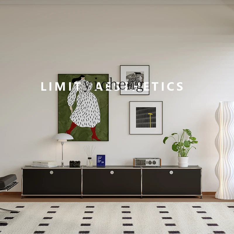 

TQH TV Cabinet Modern Simple Living Room Bauhaus Stainless Steel Medieval Storage Locker