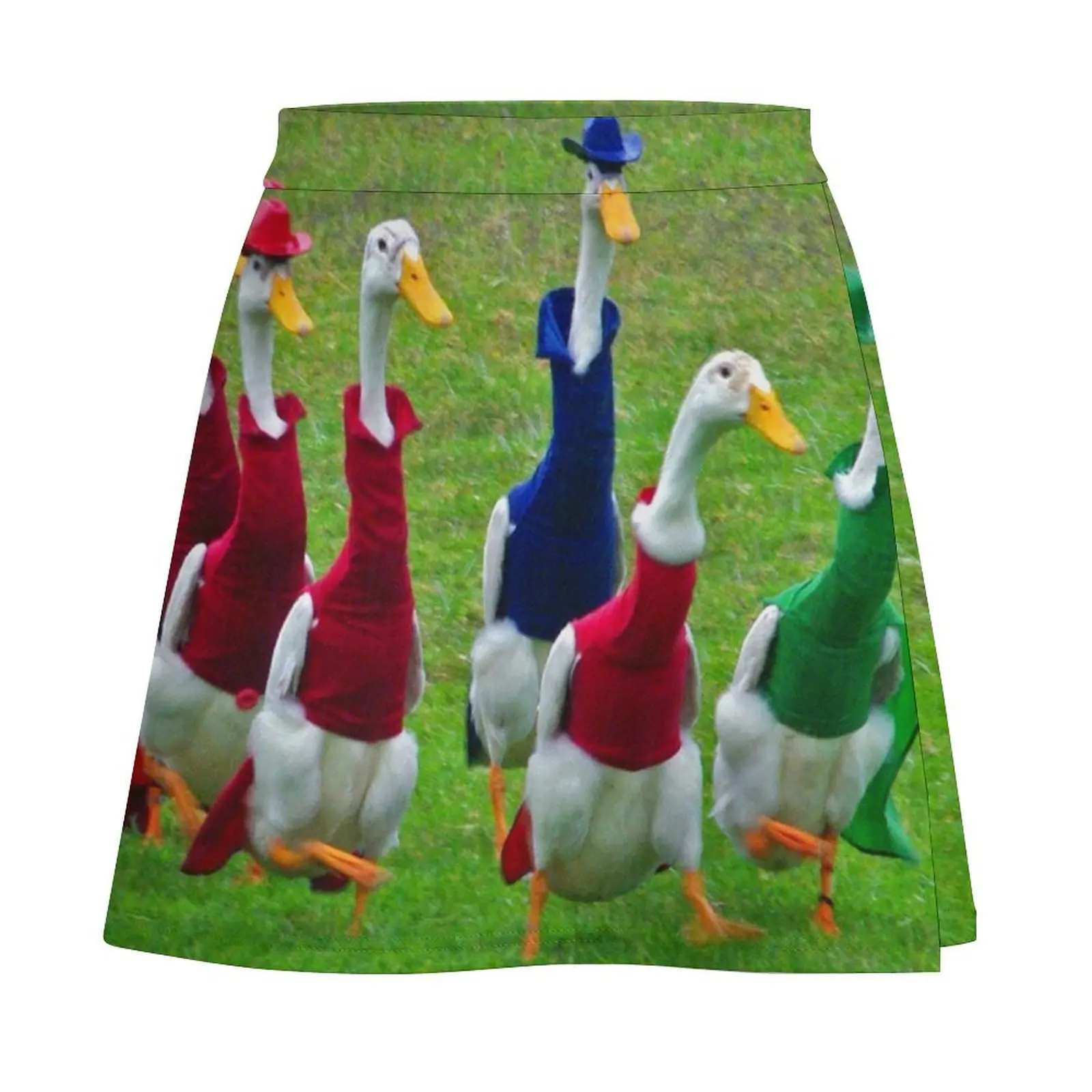 Indian Runner ducks race at dog trials Mini Skirt Women's summer dress fairy grunge Mini Skirt