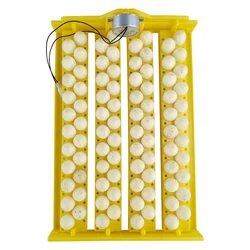 Egg Rails 88pcs Eggs Automatic Egg Turner Turning Tray For Automatic Egg Incubator Tray Egg Incubator Breeder For Chicken Quail