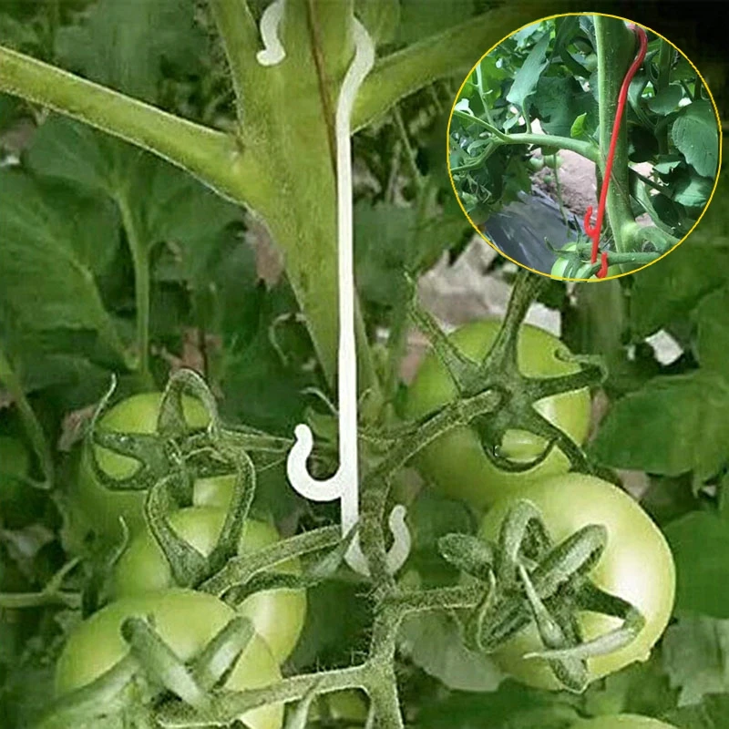 

50/100Pcs Tomato Support J Shaped Hooks Garden Vegetable Fruit Vines Fixed Buckle Ear Hook Clip Gardening Plant Accessories