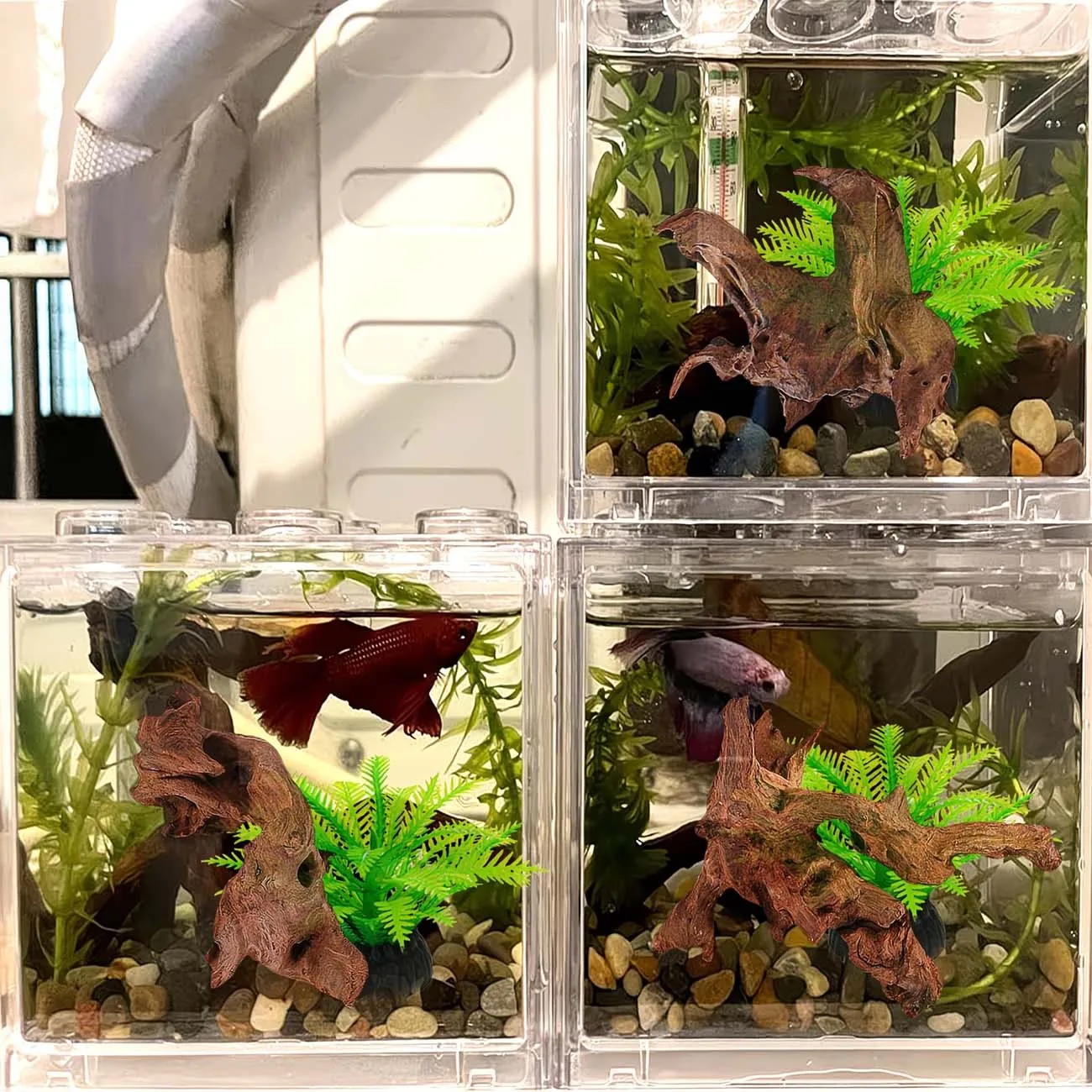 5-10CM Natürliches Sinkbares Treibholz Aquarium-Landschaftsdekoration Fischbecken-Ornament Reptilien-Kletterholz für Wassertiere – Detail 3
