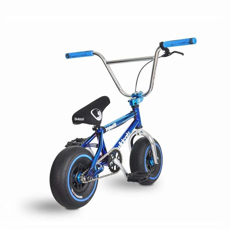 Blue and Silver Color Action Bike for Adult, BMX, 10