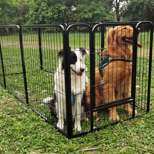 Folding Indoor Outdoor Dog Fences For Durable Metal Dog Houses For Dogs In Outdoor Back Gardens