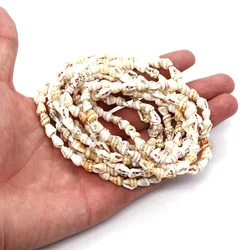 Natural Seashell Small Conch Beaded Loose Beads for Jewelry Making DIY Anklets Earring Bracelet Necklace Women Jewelry Accessory