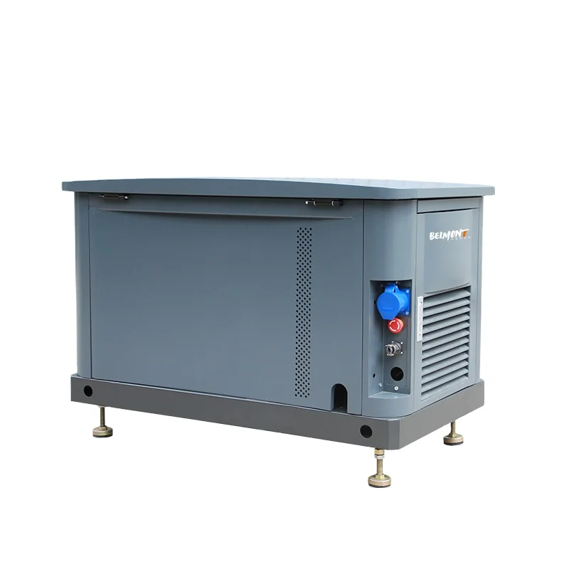 7kw 8kw 14kw 15kw 17.5kv 19Kva 20kva 16kw 25kva 36kva 20kw 22kw 23kw Air Cooled LPG Home Natural Gas Generator for Whole House