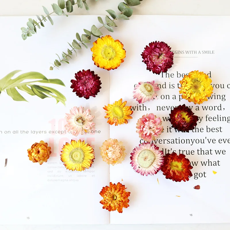 

30/50pcs Natural Colorful Chrysanthemum Dried Flowers Heads Wedding Home Centerpieces DIY Resin Molds Daisy Preserved Flower