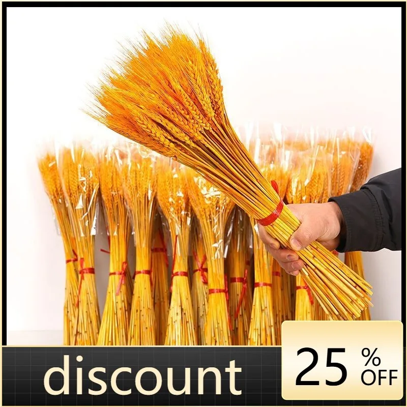 

LH Gold Barley Flower Basket Natural Gold Wheat Spike Dried Flowers Pastoral Decoration Ornament