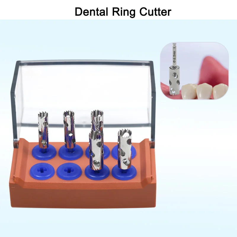 Stainless Steel Den… - image