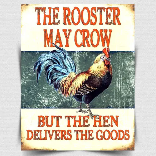 METAL WALL SIGN PLAQUE THE ROOSTER MAY CROW HEN DELIVERS THE EGGS kitchen decor