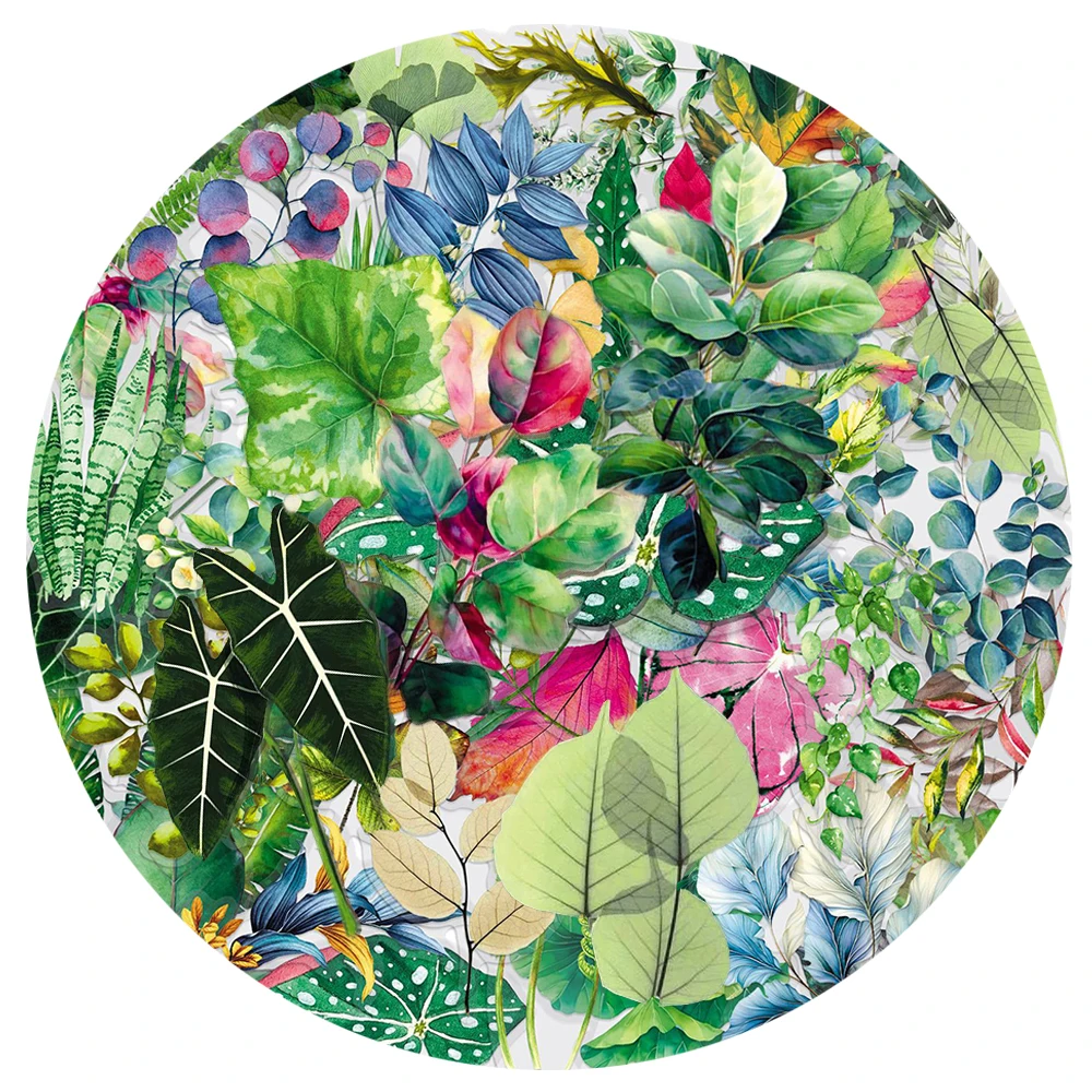 

10/30/50pcs Green Plant Leaves Cartoon Stickers Transparent PET Graffiti Decals Scrapbook Phone Suitcase Sticker Decoration Toy