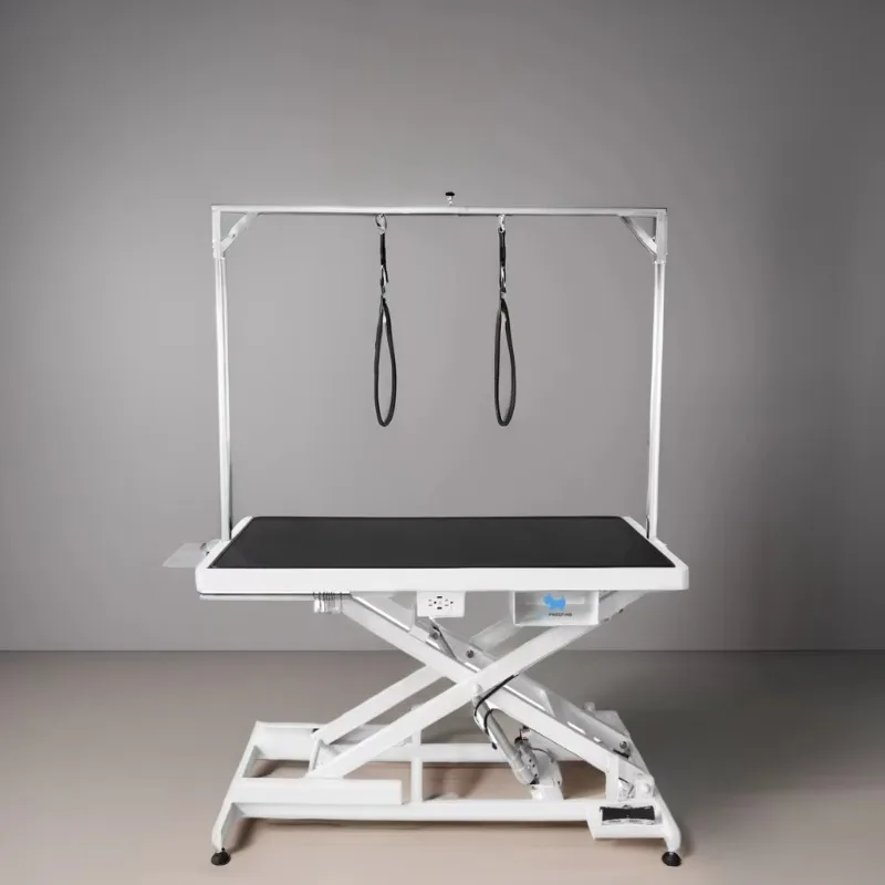 

2026 Electrical Adjustable Height Large Dog Cat Pet Animal Grooming Table Tables with Arm for Pet Supplies
