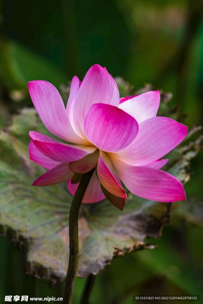 

64mm Ducted Fan System EDF Power 5250KV 4300KV for Airplane Jets