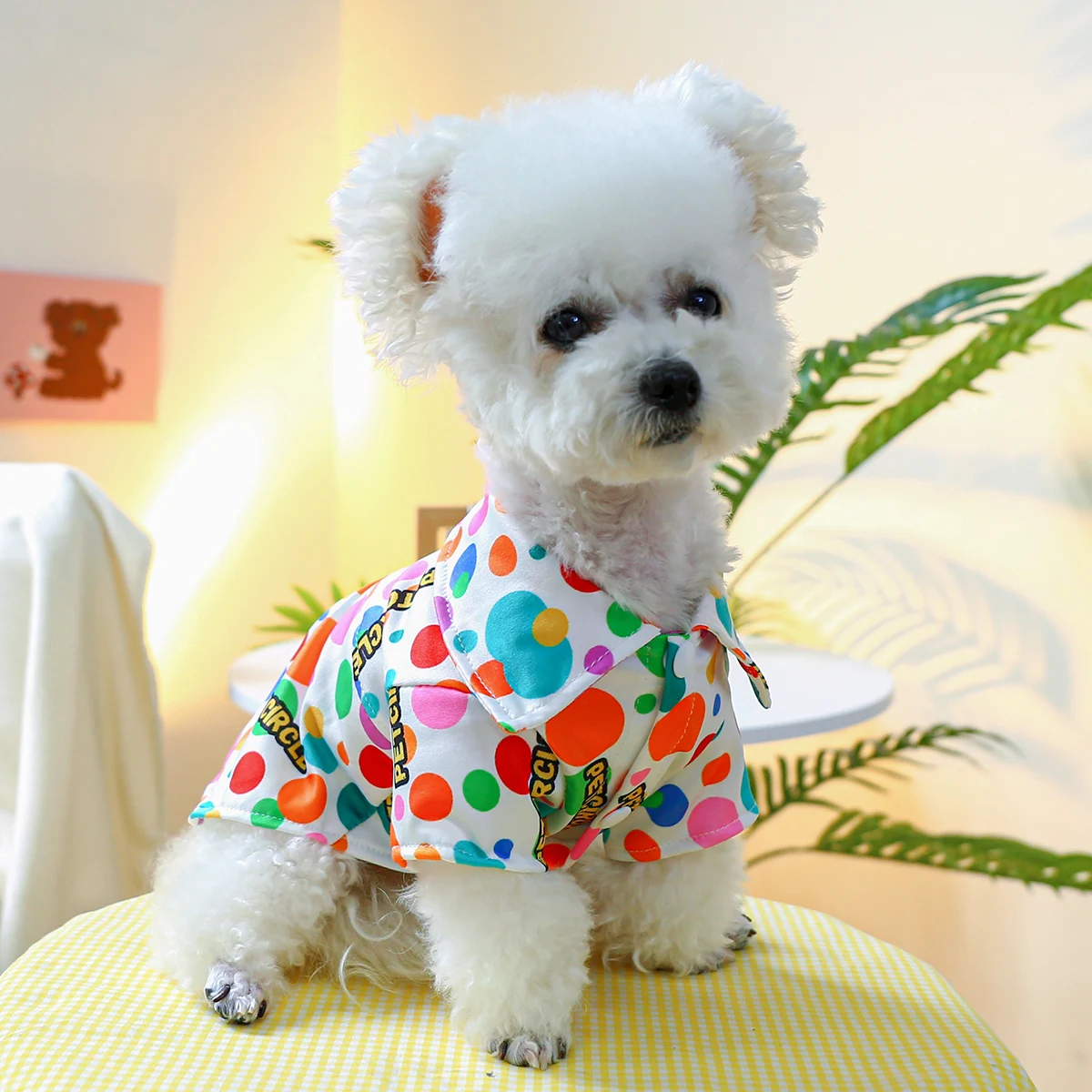 1PC Pet Clothing Dog Spring/Summer/Autumn Thin Color Bubble Coat Shirt Homewear With Drawstring Buckle For Small Medium Dogs