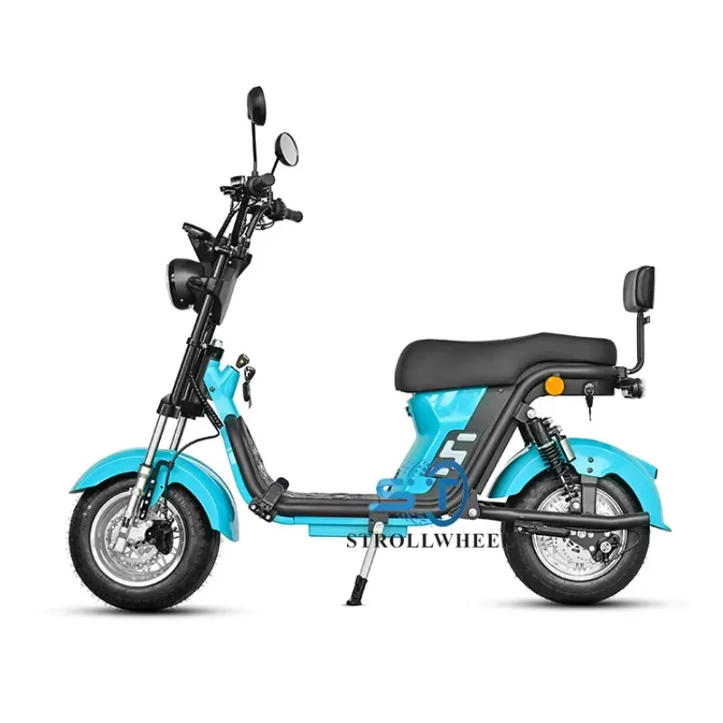 2 Wheel Handle Bar 69cm 1000w Cheap Electric Motorcycle Hub Motor
