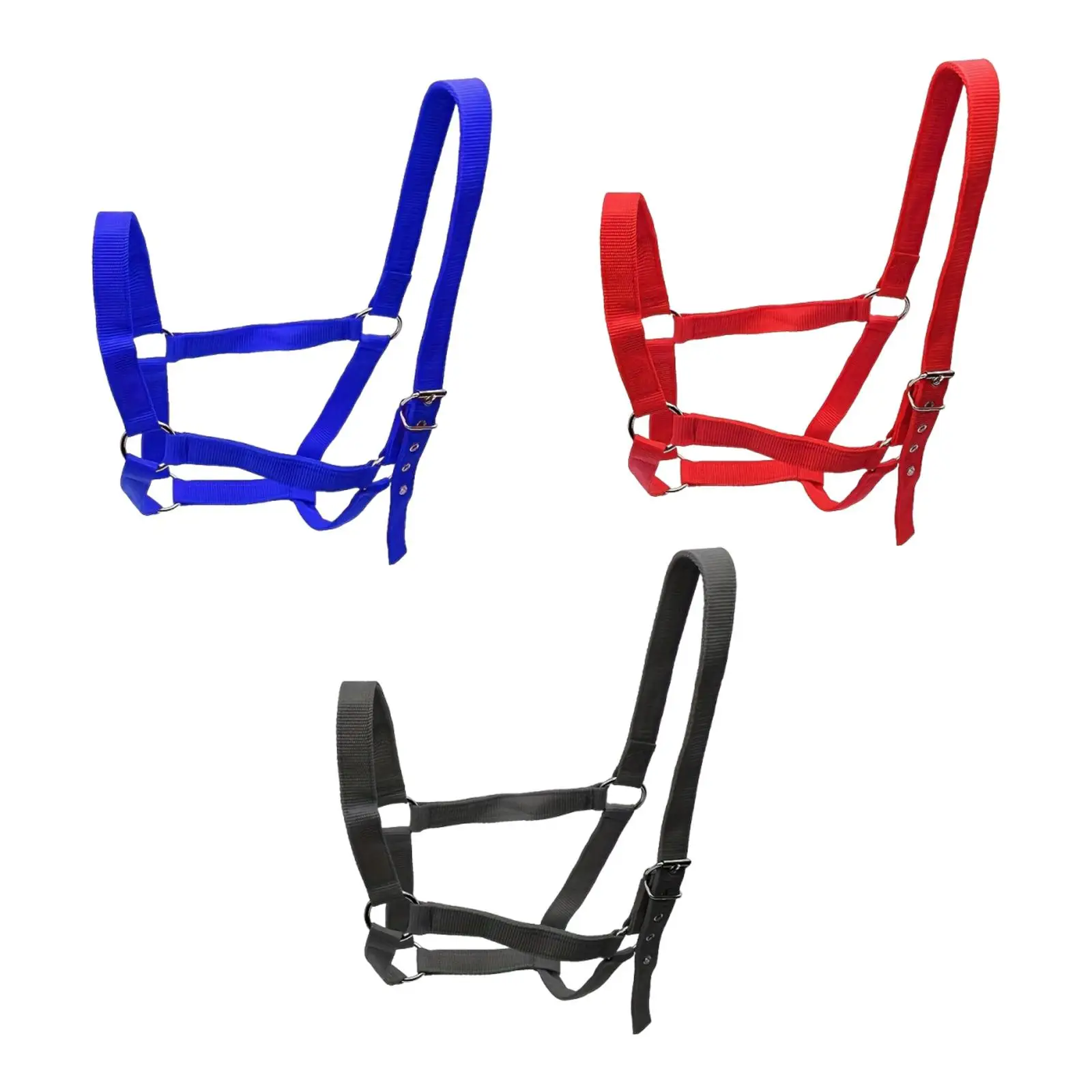 رسن حصان مع حشوة متينة للتدريب على الحبل، حزام قابل للتعديل للمراعي المزرعة والرياضة