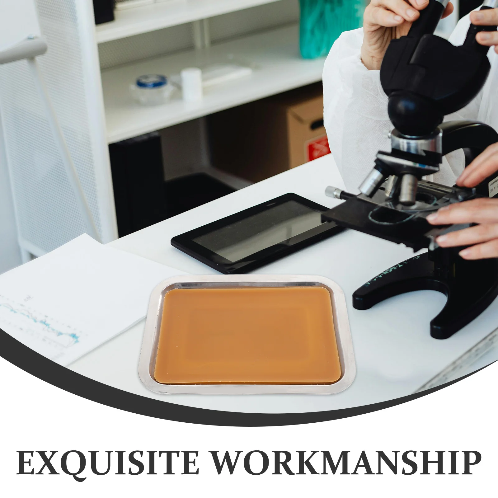 صينية تشريح 18 × 25 سم أداة مختبر من الفولاذ المقاوم للصدأ مطلية بالشمع الأبيض لتجارب الأحياء واستخدام تعليم الفصول الدراسية #6