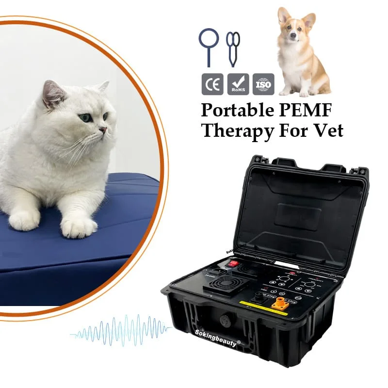 Soothing Pulsed EMF Loop for relieving anxiety in dogs and cats with neurasthenia, Pulsed EMF Healing Tool
