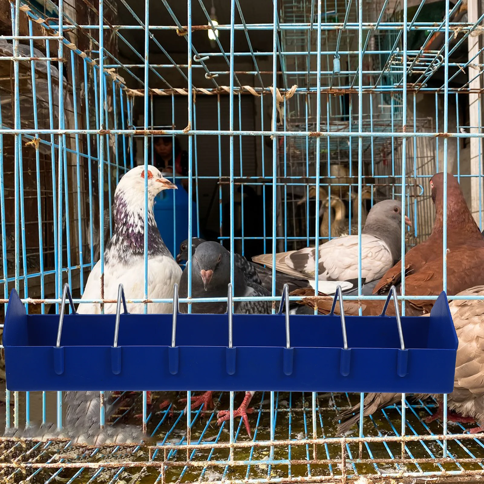 

Thicken Plastic Pigeon Feeder 40cm Length Slot Container Bird Supplies Pigeon Feeder Bird Supplies